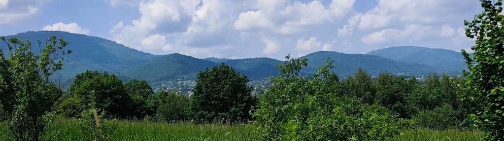 Widokowa działka rolno-budowlana 9275 m² – lipowa