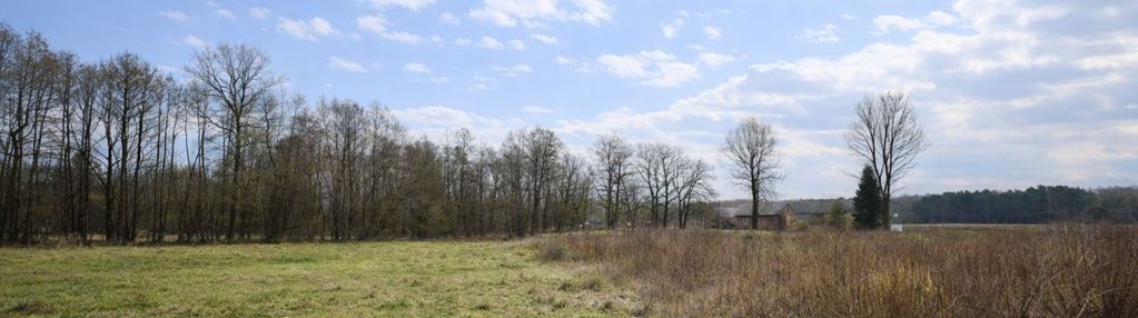 Działka przy asfalcie, super cena! mpzp - malanów