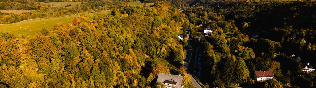 Działka budowlana 3000m² | wilkanów