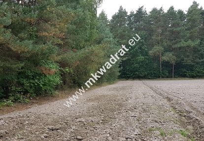 Działka w otulinie lasu budy wolskie