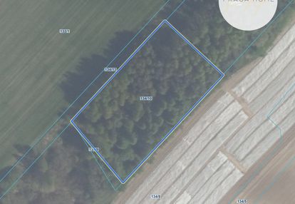 Działka mazury zwierzewo ostróda