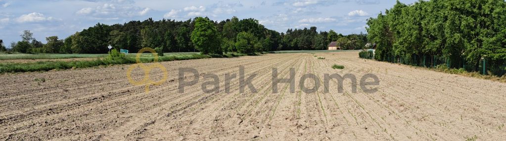 Działka budowlana z widokiem na las