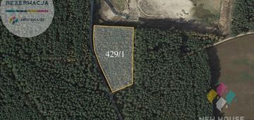 Targowo, działka leśna, pow. 1,19 ha