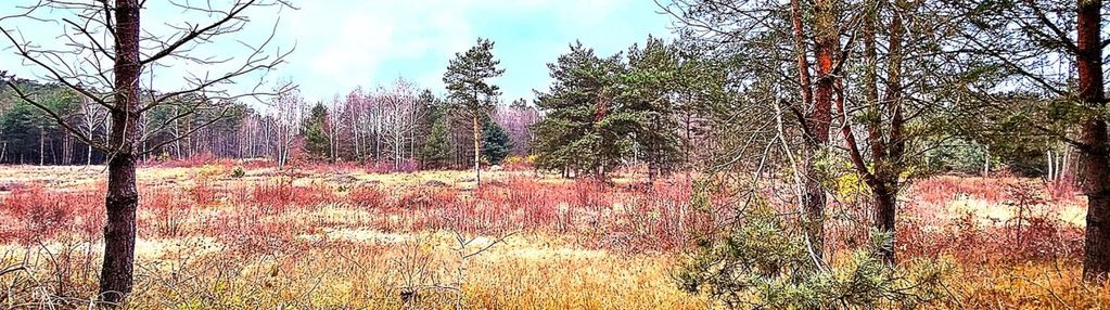 Działka w cichym miejscu sieradza 1338m2 herby