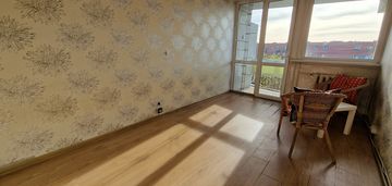 Lokalizacja | balkon | piwnica | rozkład