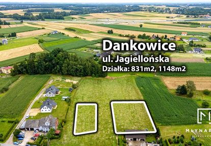 Ponad 8 arów w dankowicach!