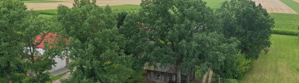 Spokojna wieś, duża działka i nieograniczone możliwości