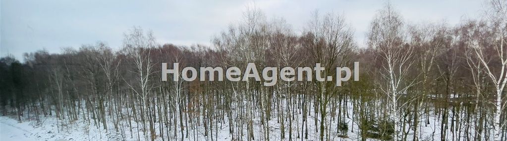 Strefa hub gamingowa nikisz inwestycyna kawalerka