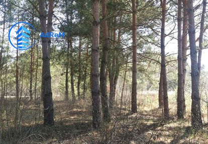 Działka budowlana przy lesie nowy prażmów 1600 m2