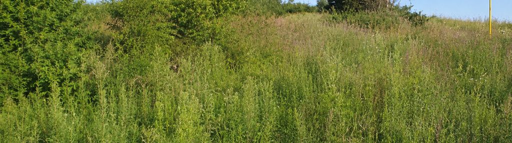 Działka budowlana 1530m2 z wz