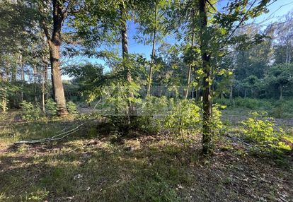 Działka na granicy złotokłosu i henrykowa