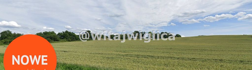 Działka budowlana w strzegomianach.