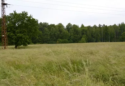 Działka na sprzedaż 5240m2