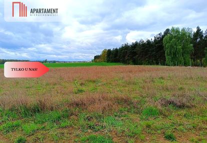 Morzewiec 1022m cisza spokój ściana lasu