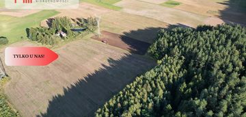 Siedlisko 11,75 ha z prywatnym lasem