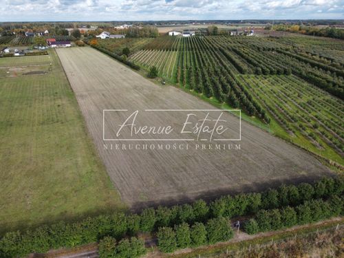 Działka budowlana 7 363 m² | barcice