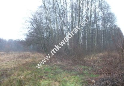Działka leśna 8660 m² piotrkowice