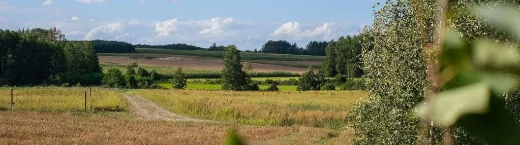 Zadrzewiona działka w otoczeniu lasów i pól