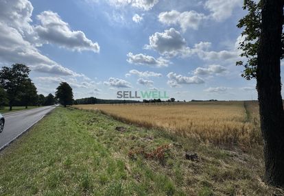 Działka inwestycyjna 3,39 ha - dalików