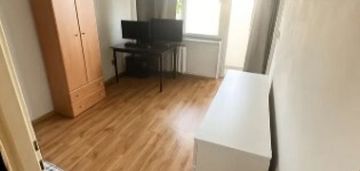 Kawalerka na pradze-południe