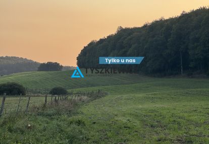 Kompleks 6 działek przy lesie trzepowo