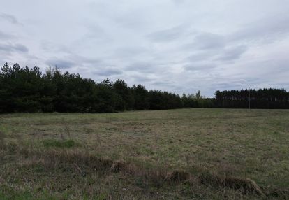 Działka budowlana 1,7ha gm. serock, stanisławowo.