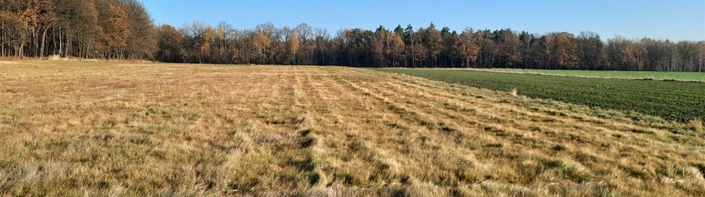 Do sprzedaży 5 działek przy ul. mikołowskiej tychy