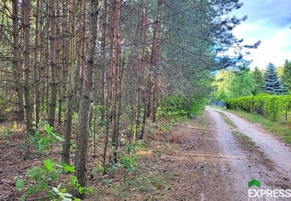 Cisza, natura i jeziora – rogóźno, do negocjacji
