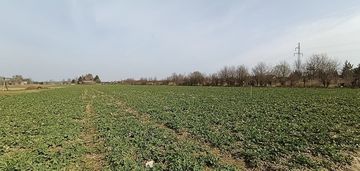 Działka na sprzedaż stok lacki folwark