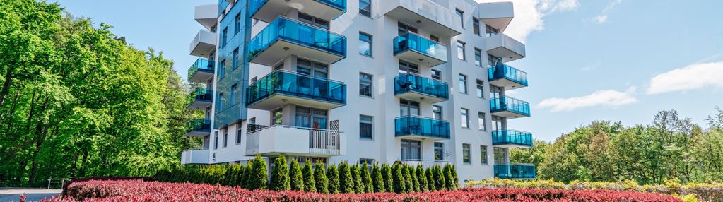 3 pokoje apartamenty na polanie w otulinie lasu