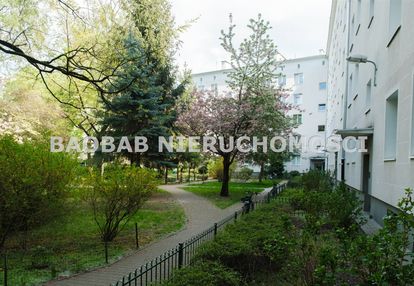 Dubois dwa oddzielne pokoje do wynajęcia
