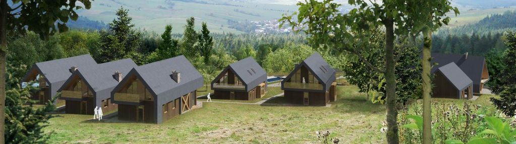 Inwestycja | 73 ar | koncepcja zabudowy | projekt