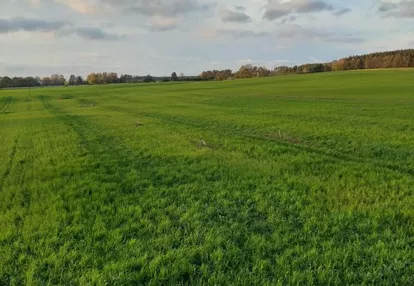 Działka na sprzedaż 1000m2