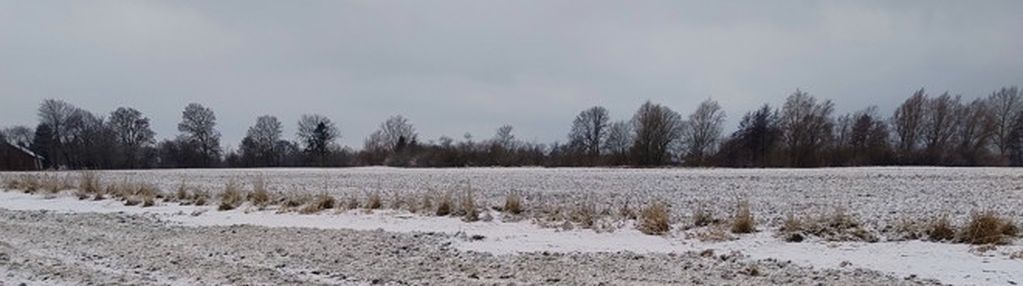 Działka rolna na malowniczym terenie