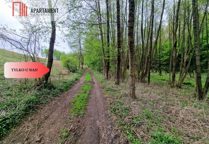 Gospodarstwo w głuszy! las! rzeka!