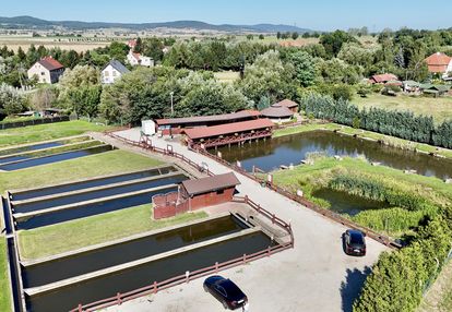 Stawy hodowlane, smażalnia, łowisko obok jawora