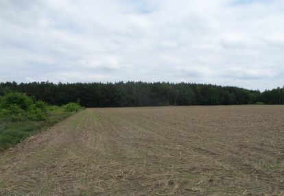 Pięknie położona, kształtna działka rolna