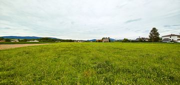 Działka budowlana 2,5 ha w miejscowości stróże