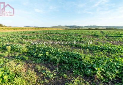 Inwestycyjna działka w krównikach