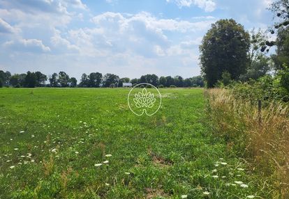 Działki budowlane na sprzedaż | rojewice |