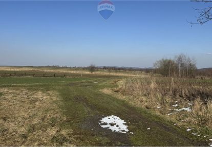 Działka rolna ponad 2 ha + działka leśna gratis
