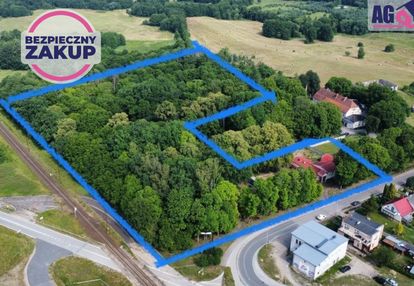 Bożepole wielkie - działka inwestycyjna 3,8 ha