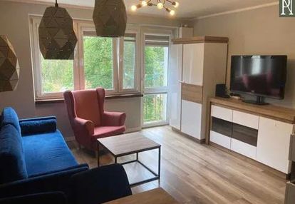 Przytulne umeblowane do wynajęcia od zaraz