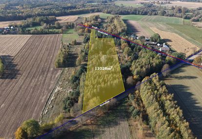 Duża zadrzewiona działka nieopodal wkry.