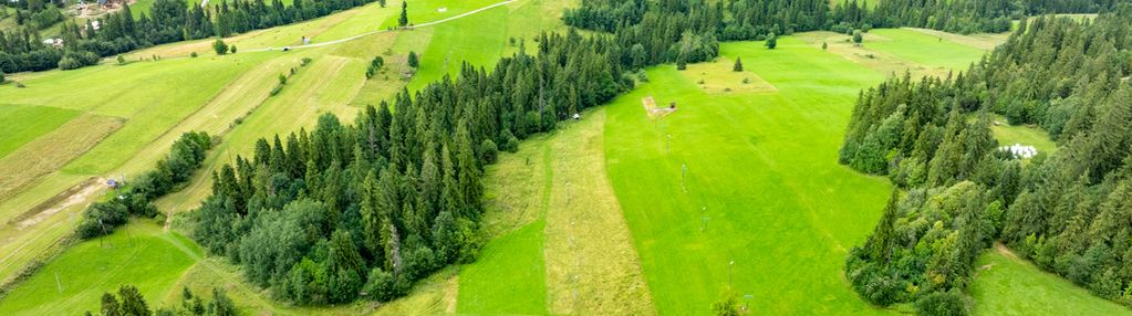 Działka na sprzedaż - bukowina tatrzańska