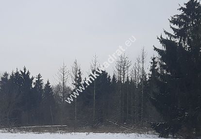 Nadarzyn duża działka 1mn w dobrej lokalizacji