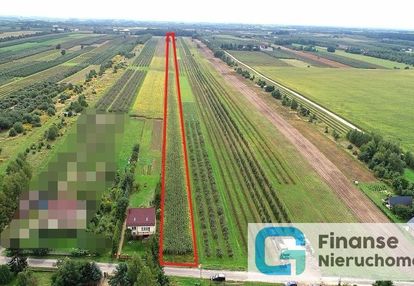 Działka rolno-budowlana, 2,5 ha, wola pękoszewska