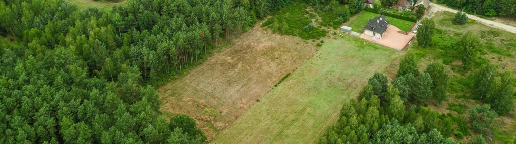Do zagospodarowania | 45,11 ar | zielona okolica