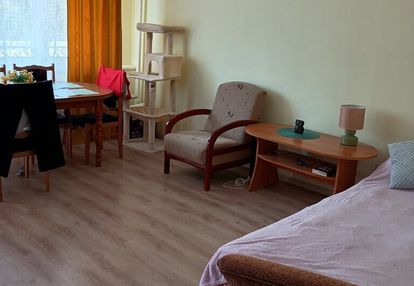 3-pokojowe mieszkanie | 59 m² | legionowa 1 piętro