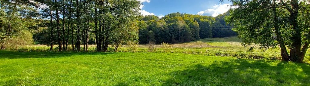 Enklawa pośród pól - 1ha piękna i ciszy | kobysewo